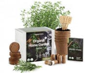 Mini Indoor Garden Kits