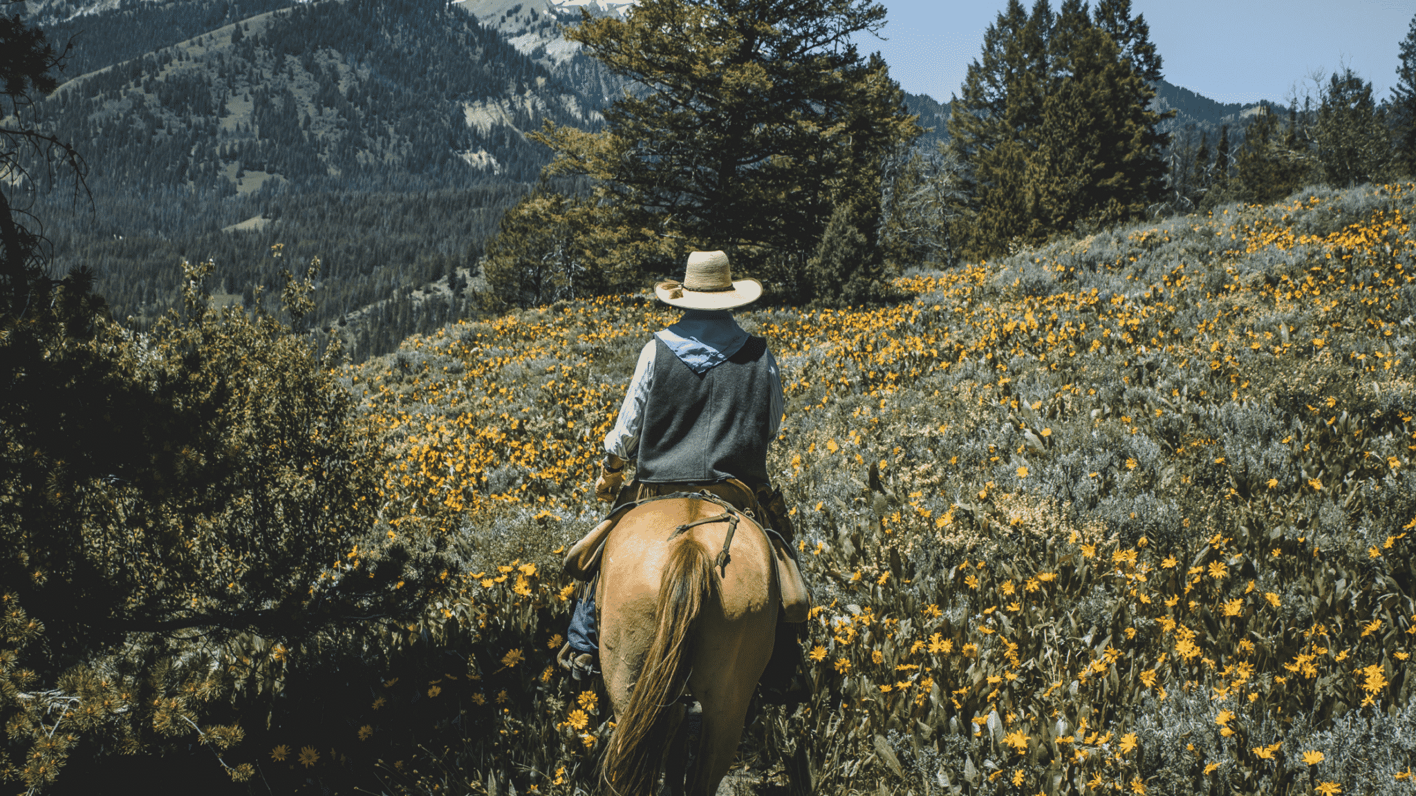 how far can you travel on horseback in a day trail riding