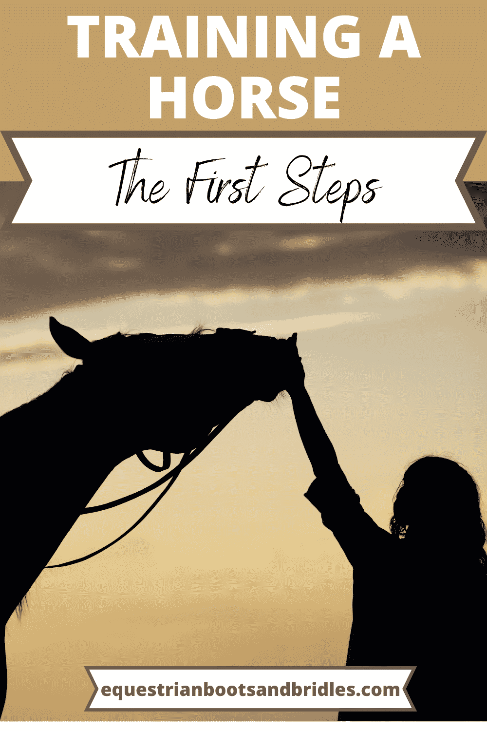 the-first-steps-to-training-a-horse-equestrian-boots-and-bridles