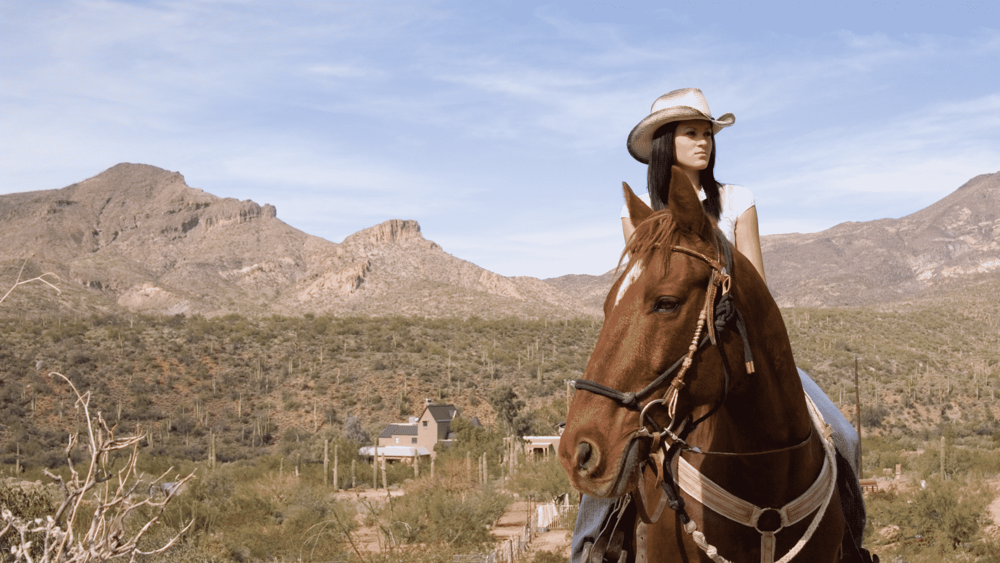 how far can you travel on horseback in a day