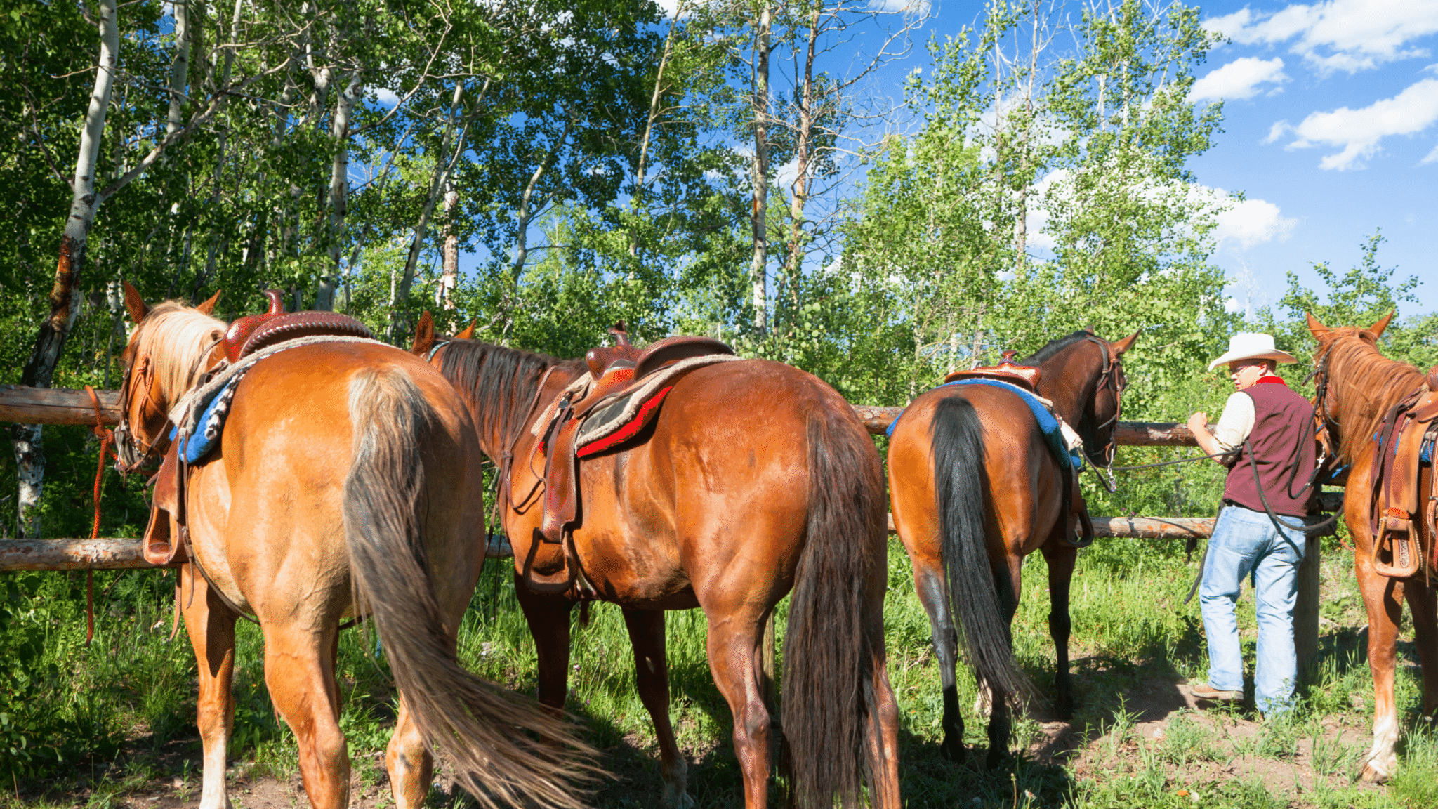 travel time on horseback