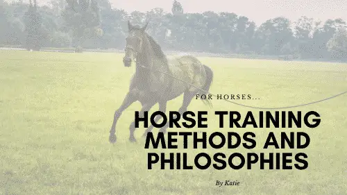Horse Training Methods and Philosophies