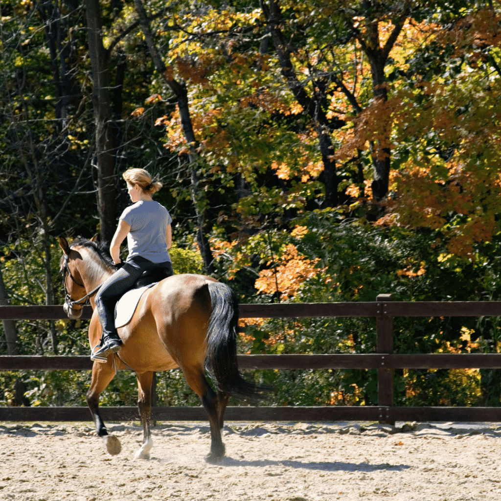 Why Horseback Riding Lessons