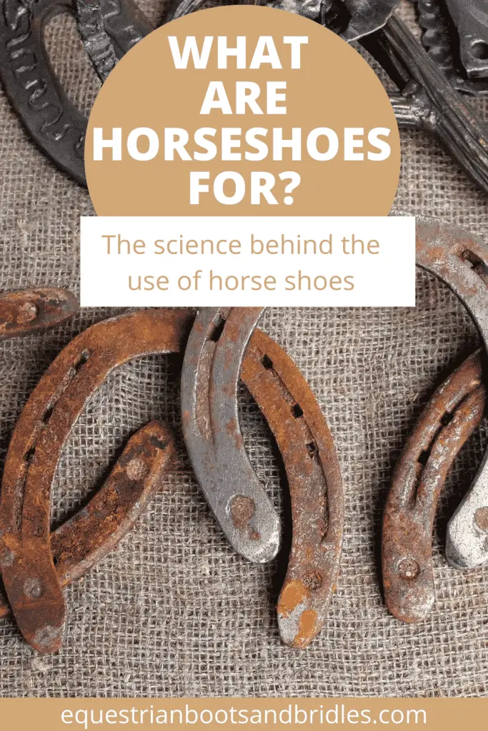 What Are Horseshoes For? 4