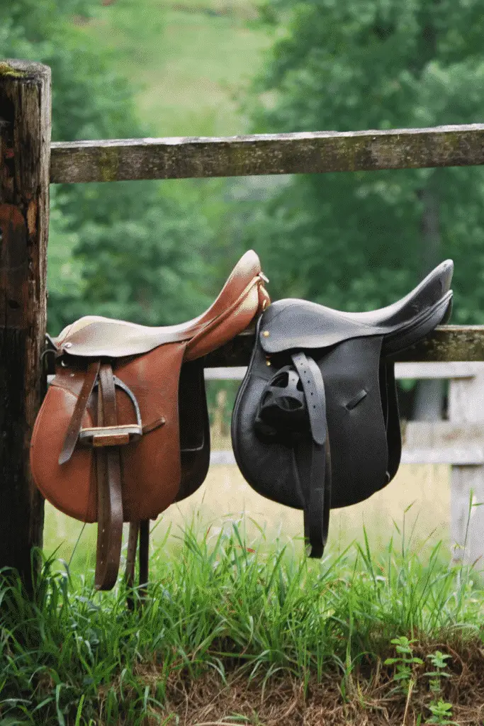 What is Horse Tack: Saddles