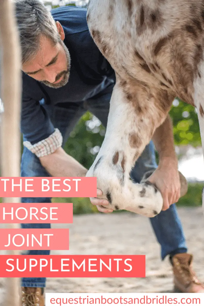 Best Horse Joint Supplement Reviews 31