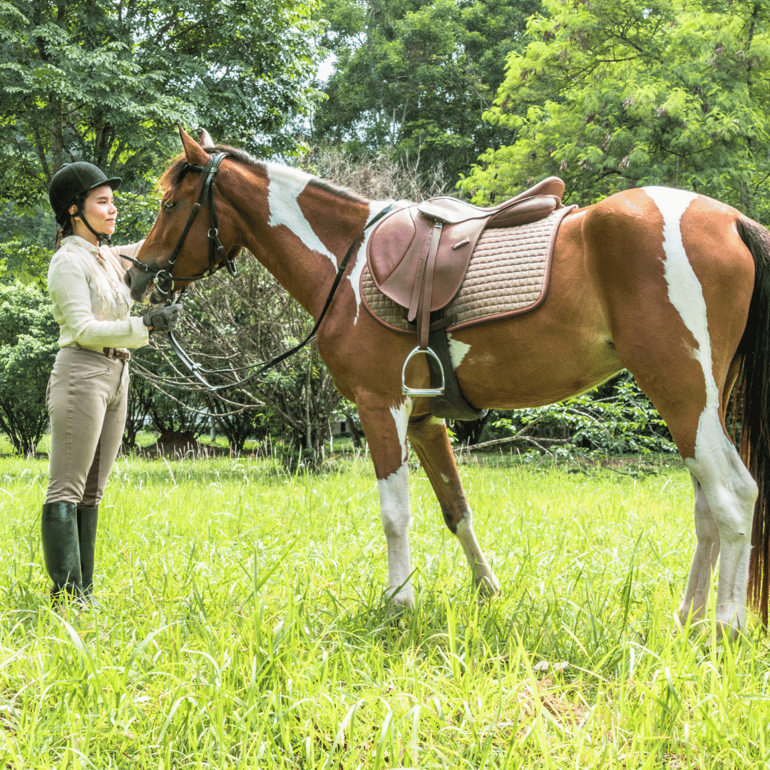 Before You Ride: Horse Tacking Tips