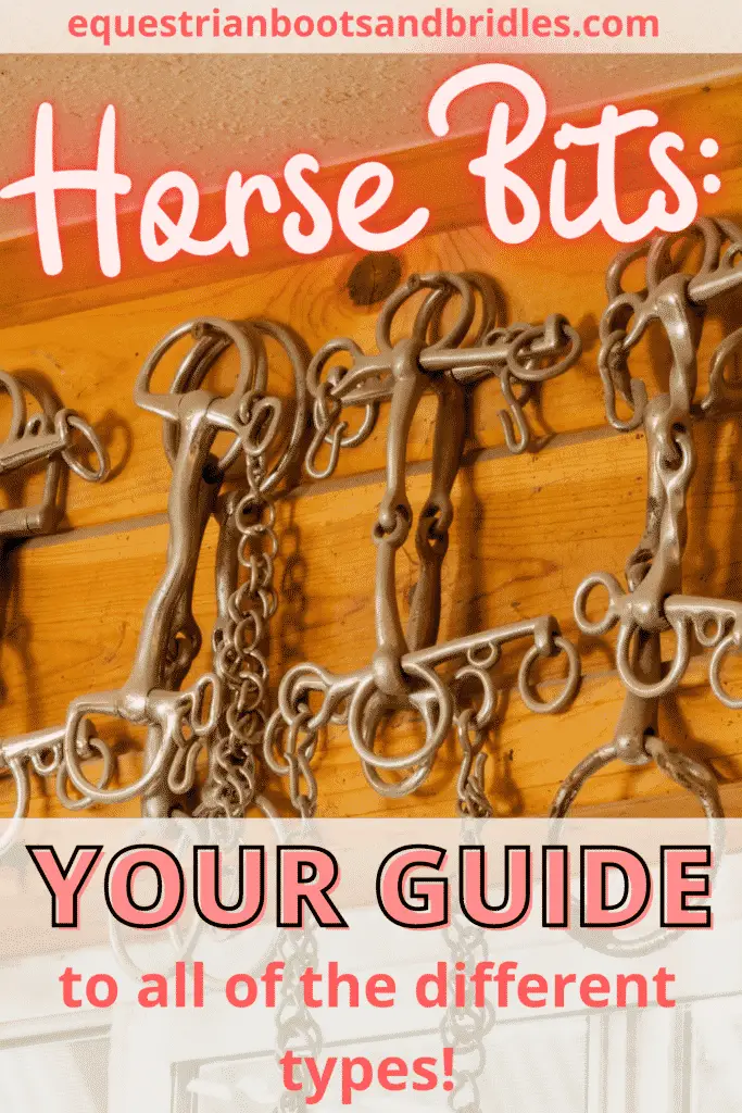 Your Guide to Different Types of Horse Bits 10