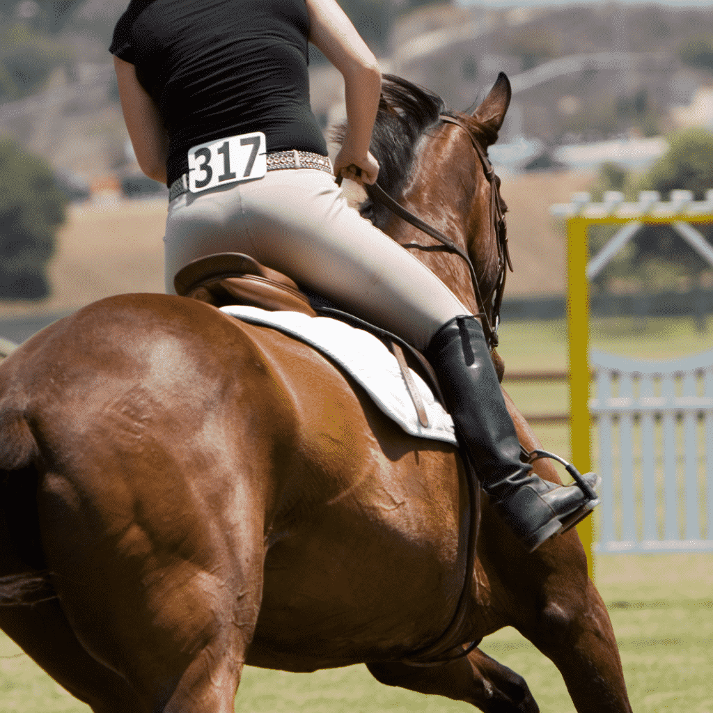 How to Ask for the Canter 10