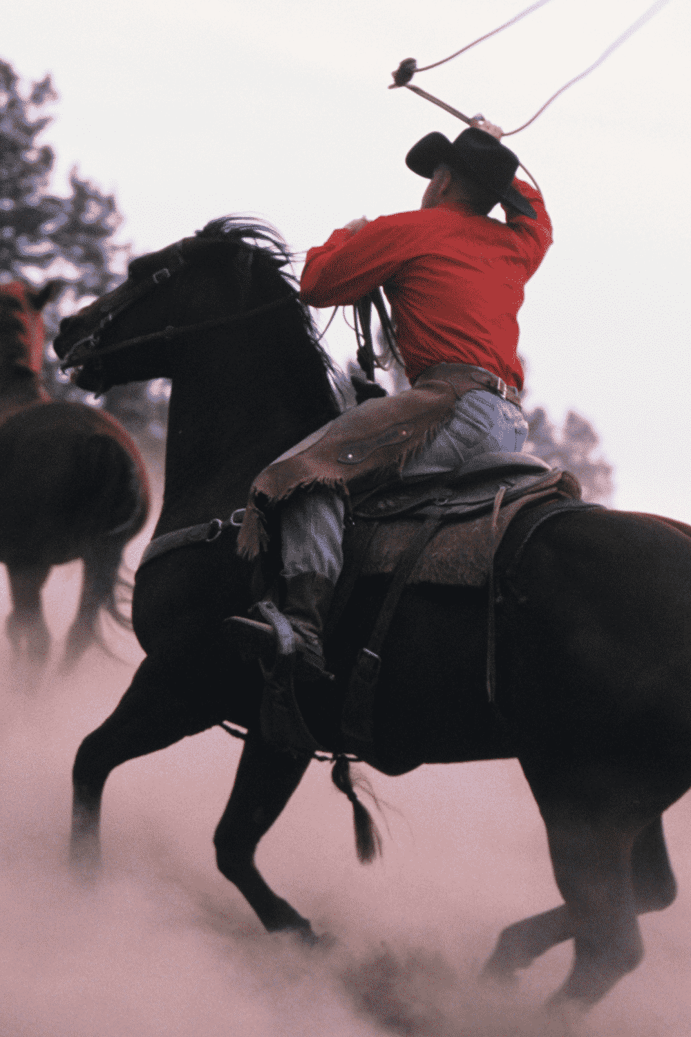 How to Stop a Bolting Horse Equestrian Boots and Bridles