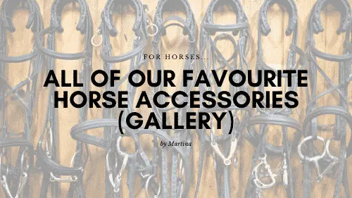 Horse Tack and Accessories