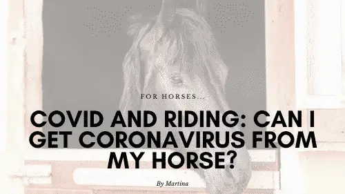 COVID and Riding: Can I get the Coronavirus from My Horse? 4