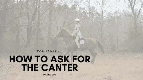 How to Ask for the Canter