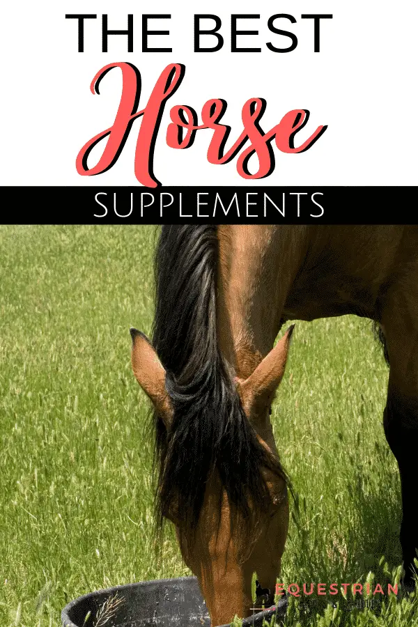 Best supplements for performance horses - our recommendations