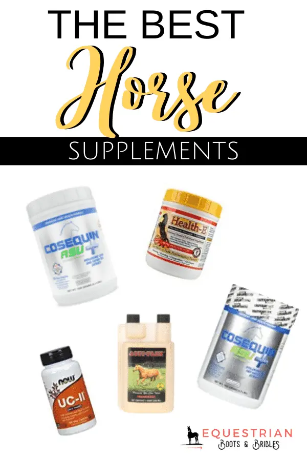 Best Horse Supplements - Our Favourites