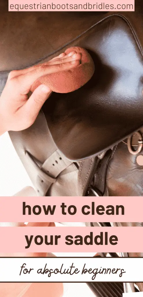 How to Clean a Saddle, the Ultimate Guide 7