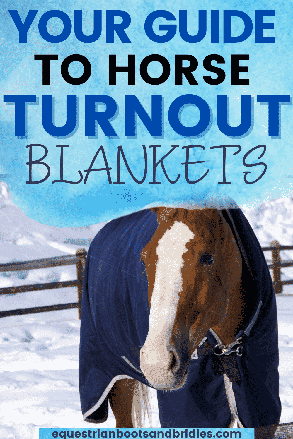 A Guide to Horse Turnout Blankets Equestrian Boots and Bridles