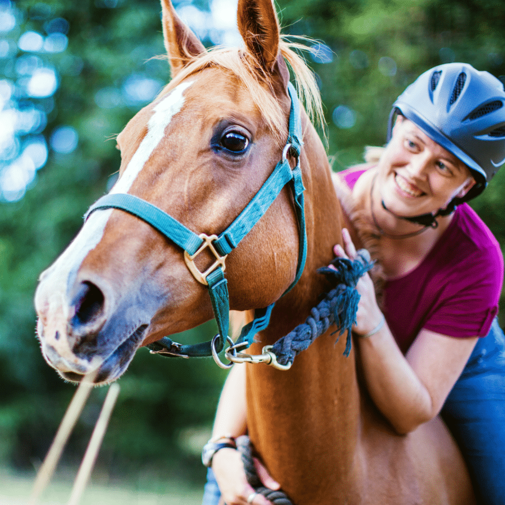 Buying Your First Horse - The Basics of Horse Ownership for Beginners 9