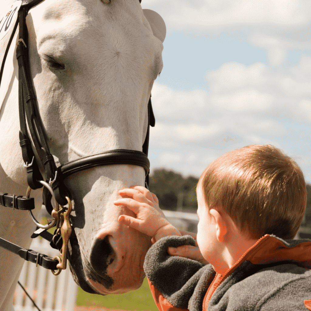 How to Ride a Horse: Greeting the Horse