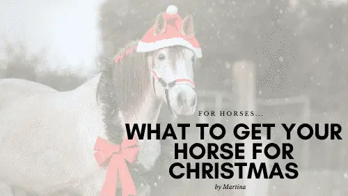 What to Get Your Horse for Christmas