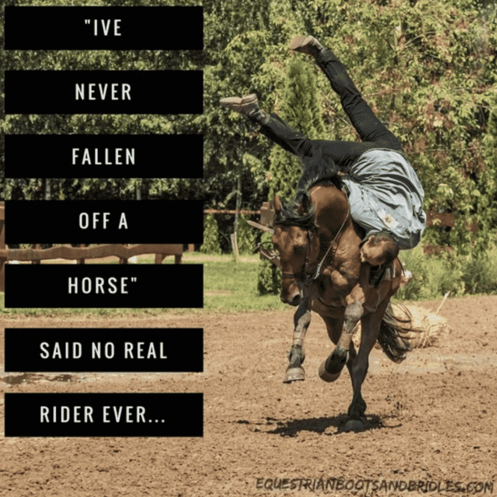 I've never fallen off a horse said no real rider ever meme by equestrian boots and bridles