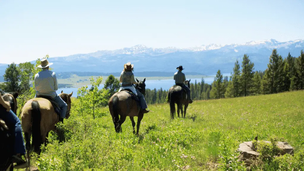 trail riding how many calories do you burn horsebackriding