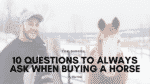 10 Questions to Always Ask When Buying a Horse