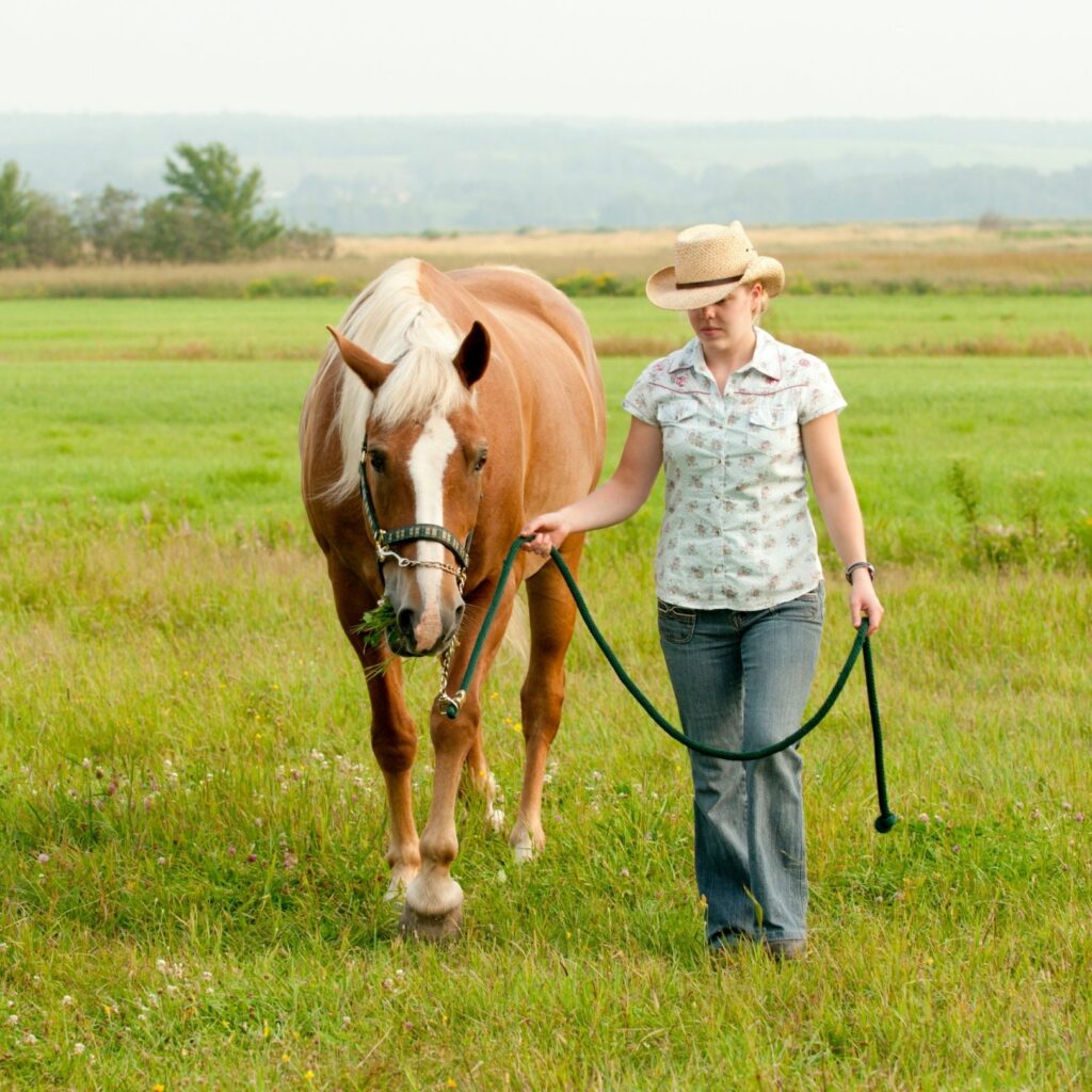 Leading Horse Through Pasture