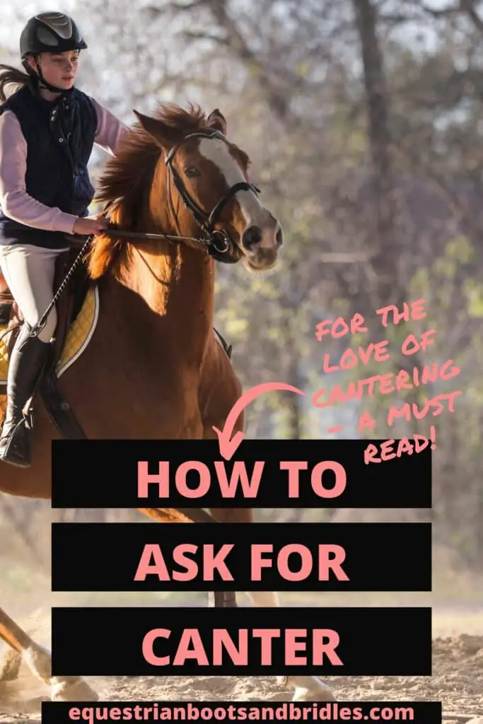 Horse Cantering. How to ask for canter. Horse training methods. Trot To Canter. 