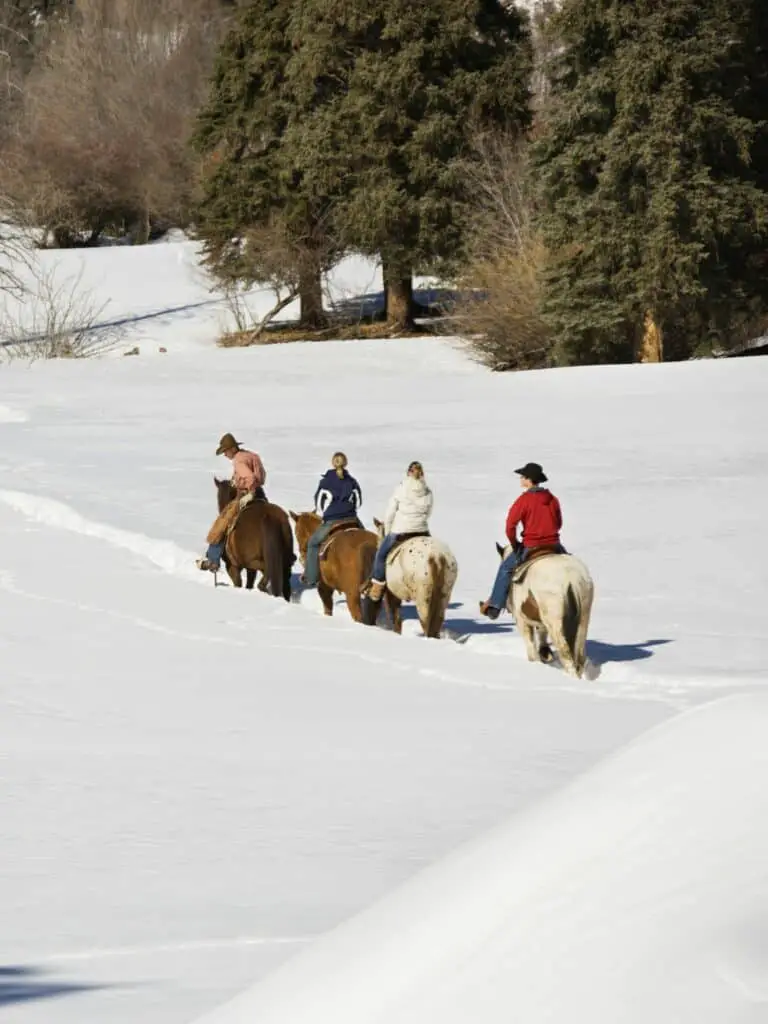 Western Trail Riding in the snow.
