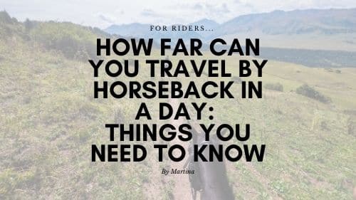 How Far Can Horses Travel in a Day 5 Things to Consider