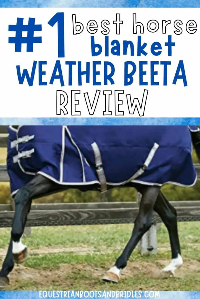 #1 Best Horse Blanket to Buy: WeatherBeeta Review 9