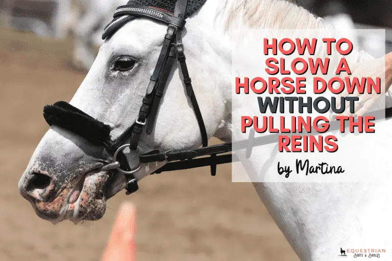 How to Slow A Horse Down Without Pulling The Reins Equestrian Boots