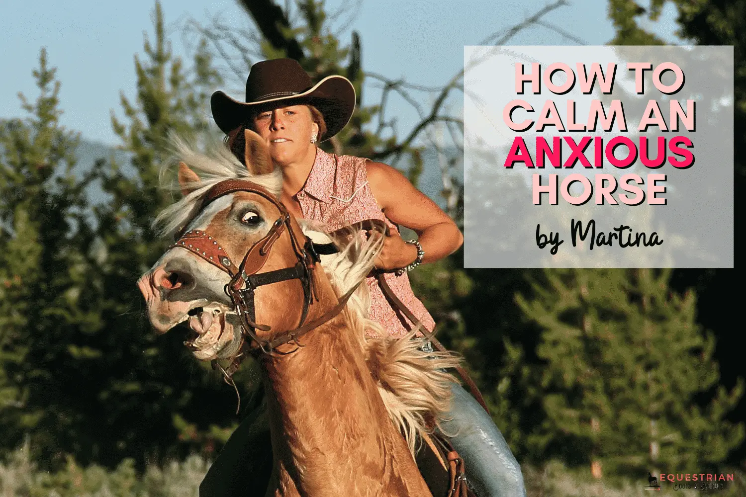 How to Calm an Anxious Horse