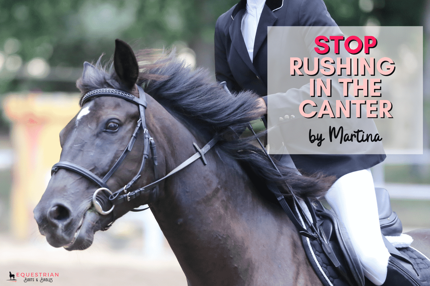 Stop Rushing In The Canter