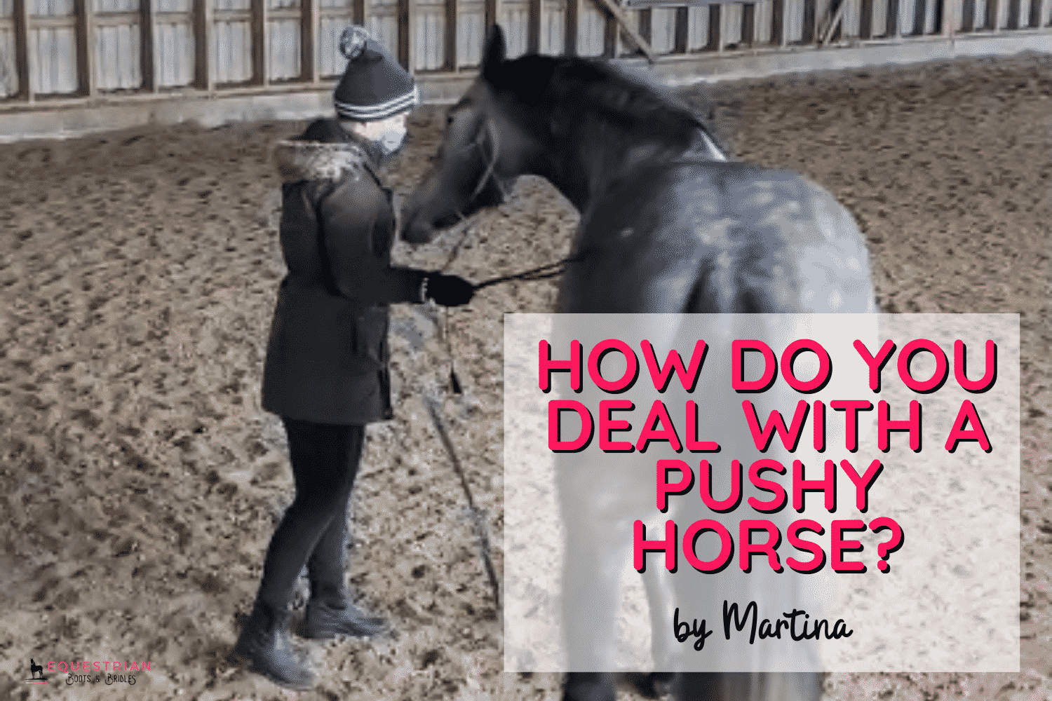 How Do You Deal With A Pushy Horse?