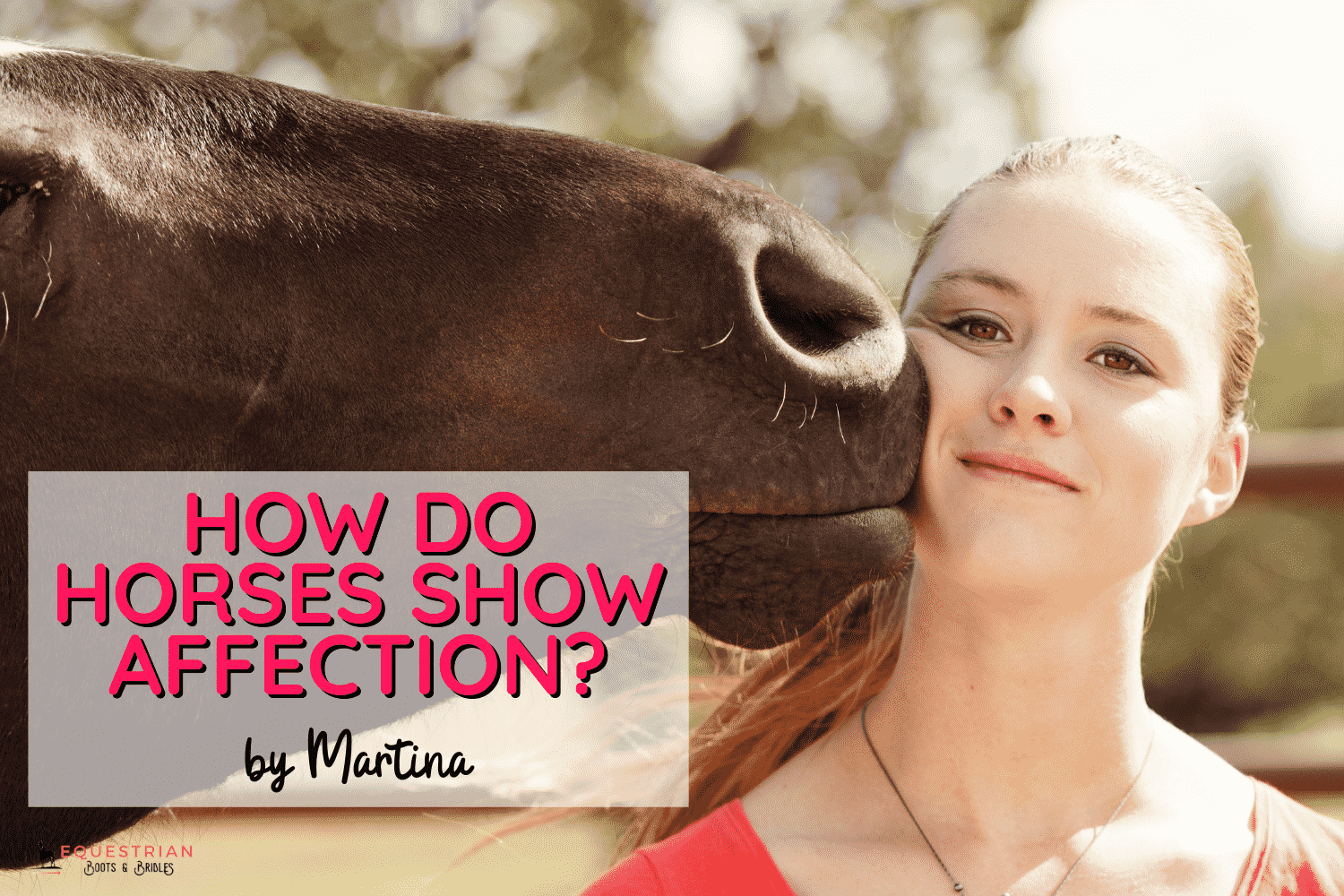 How Do Horses Show Affection? [4 Ways To Know If You've Bonded]