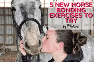 5 Essential Horse Bonding Exercises [Relax First, Perform Better!]