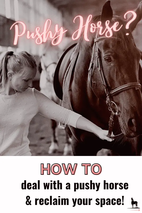 how do you fix a pushy horse