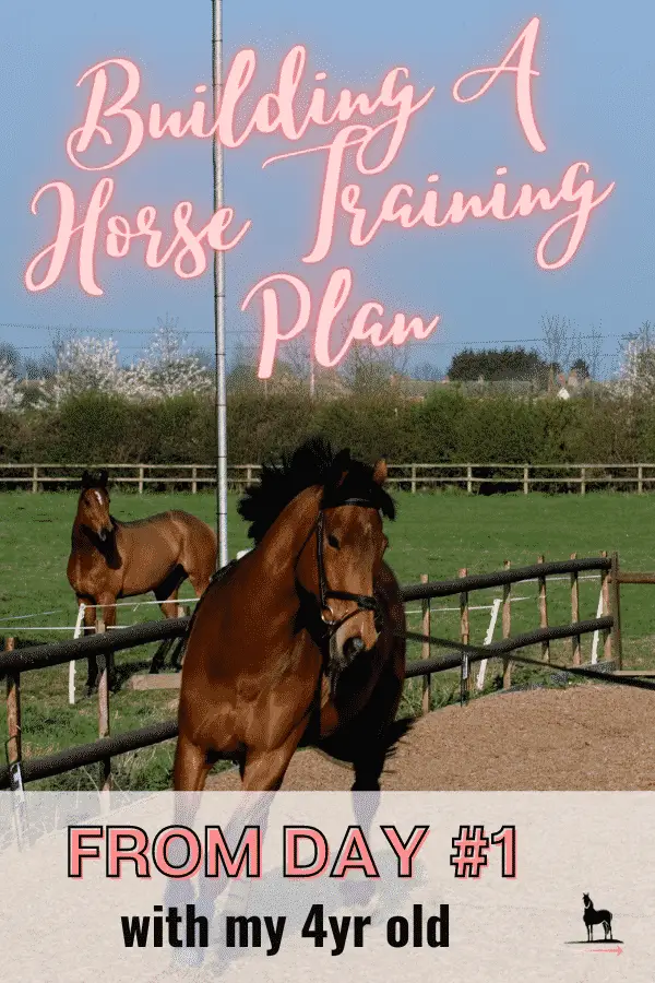 how do you train a young horse