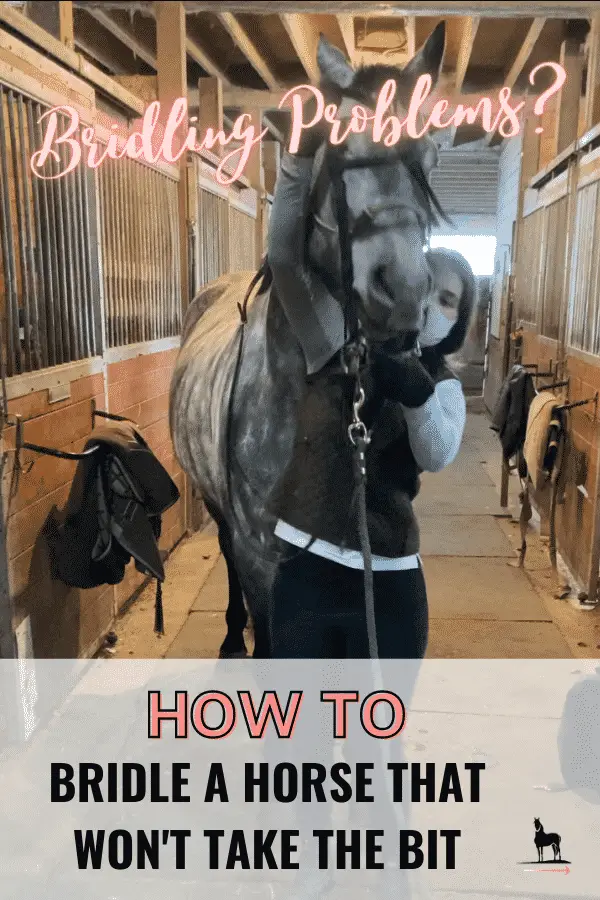 how to put a bridle on a difficult horse
