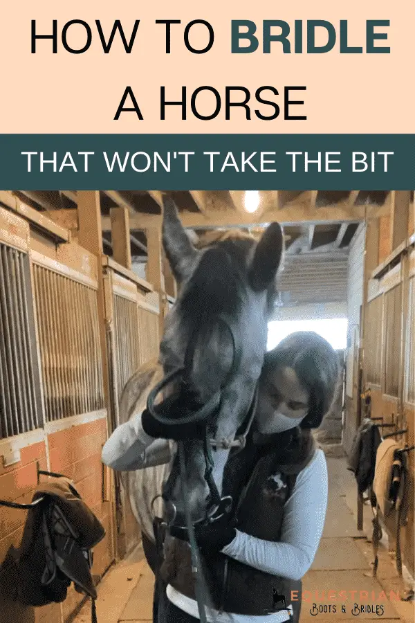 Why won't my horse take the bit?