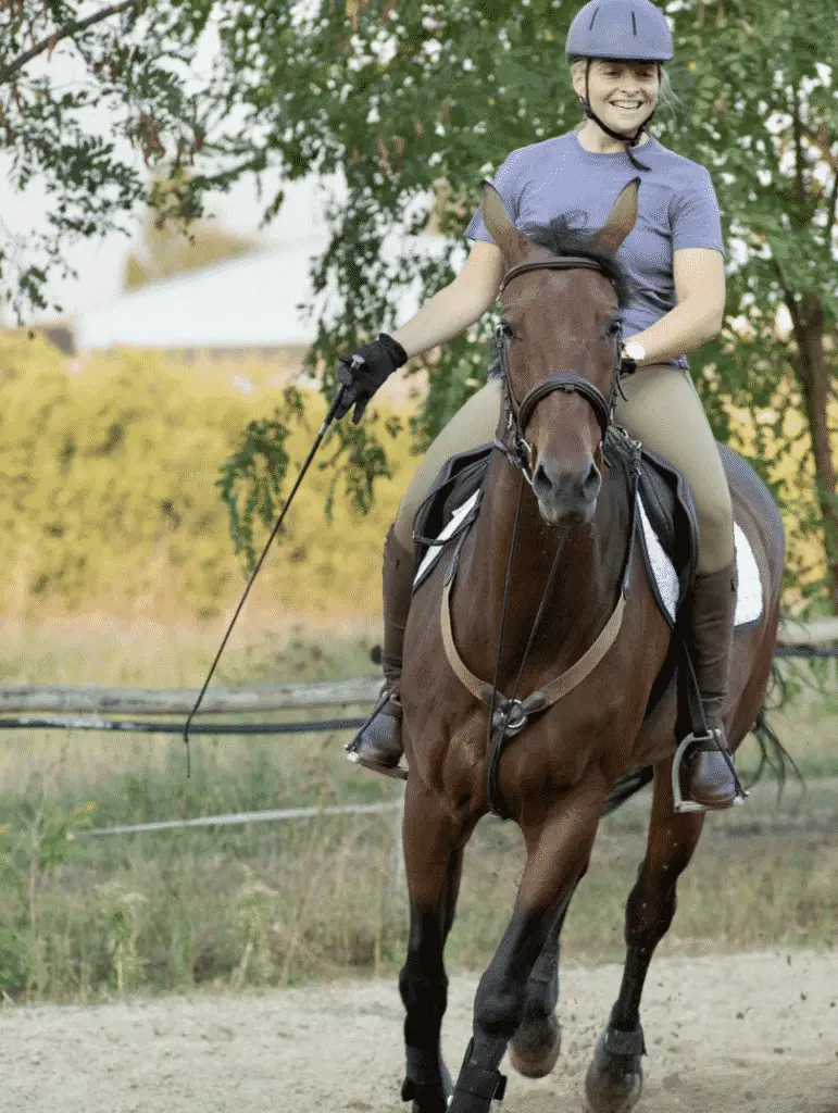 How to Move A Horse Forward Under Saddle 4