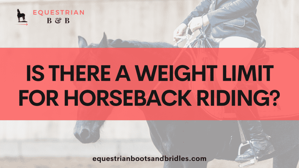 Is There a Weight Limit for Horseback Riding? 1