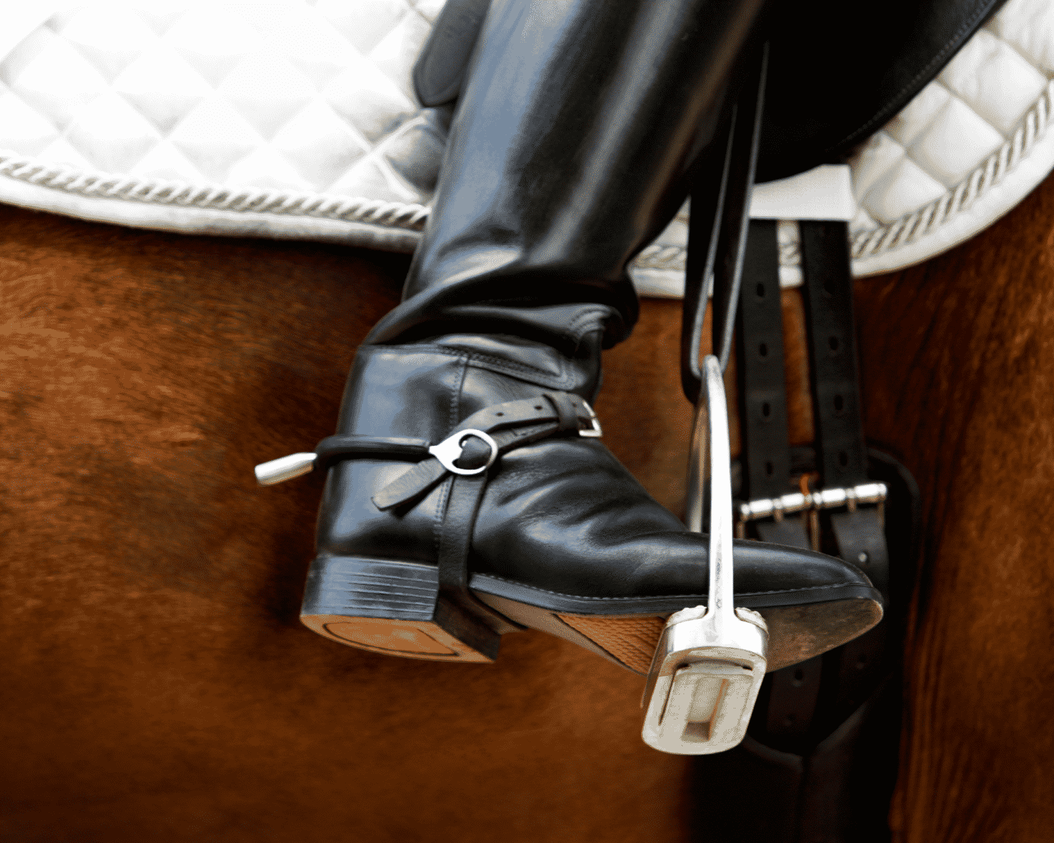 How to Choose the Best Dressage Stirrups – Equestrian Boots and Bridles