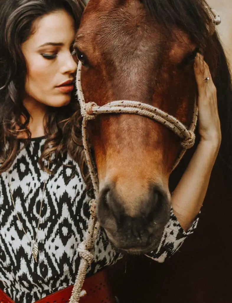 how to have a successful horse photo shoot