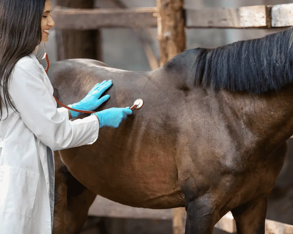 how to treat sand colic in horses