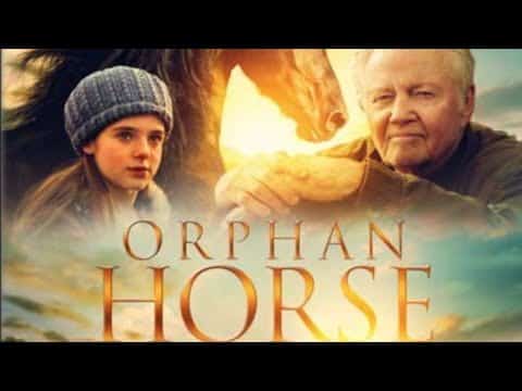 8 of the Best Horse Movies for Family Movie Night 12