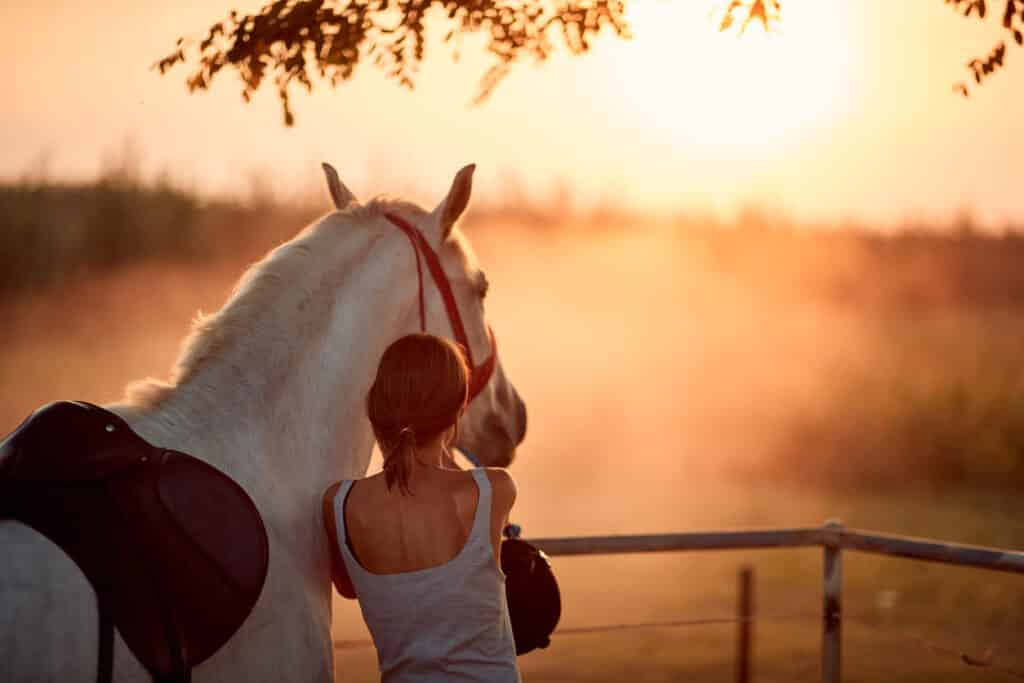 a girl has trained her horse to not give horse bites