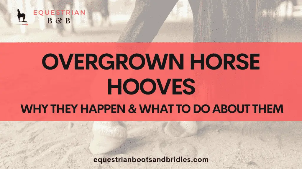 overgrown horse hooves equestrianbootsandbridles.com